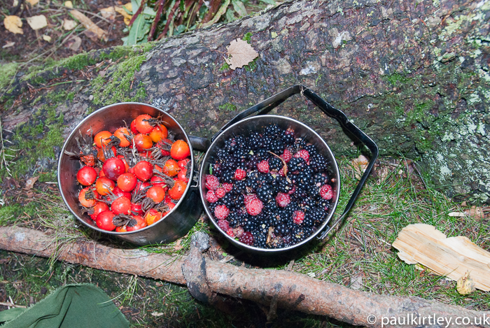 metal buckets with rosehips, blackberries and raspberries