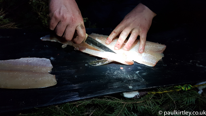 Tidying up a pike fish fillet.