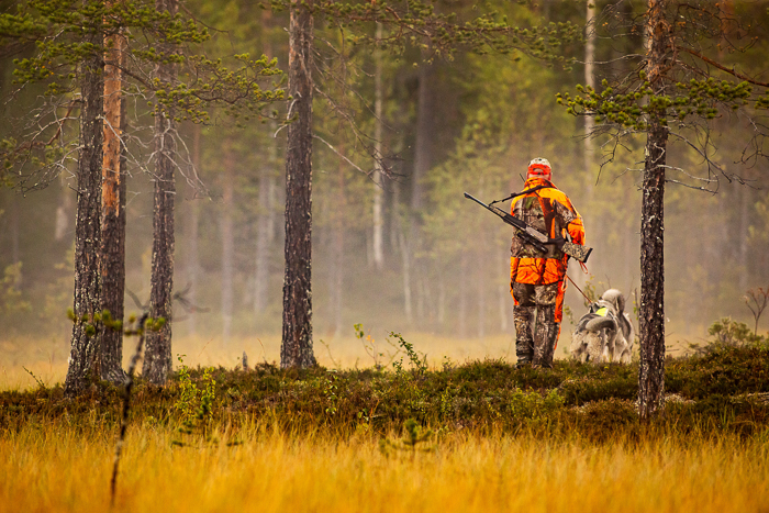 A man with a rifle and dogs in fall conditions wearing blaze orange. 