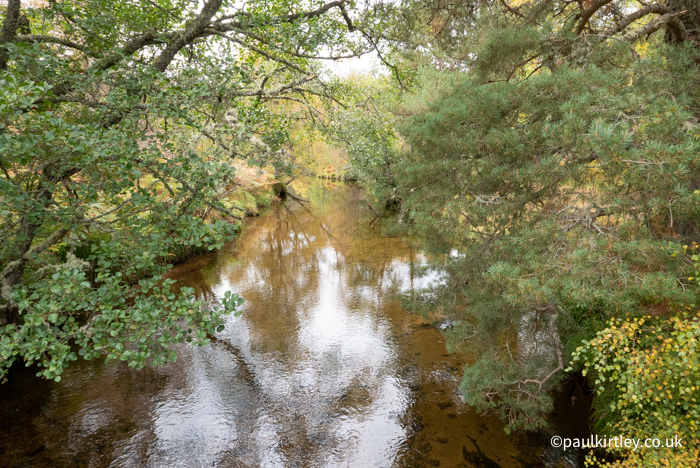 Small river that feeds into Loch Morlich surrounded by trees