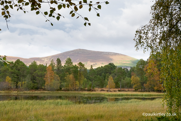 View of a Scottish mountain called Meall a’ Bhuachaille from the southern shore of Loch Morlich, with woodland in the middle distance