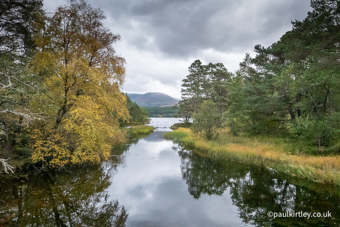 Calm river flowing out of Loch Morlich in the Scottish Highlands, surrounded by autumnal deciduous trees and native pines