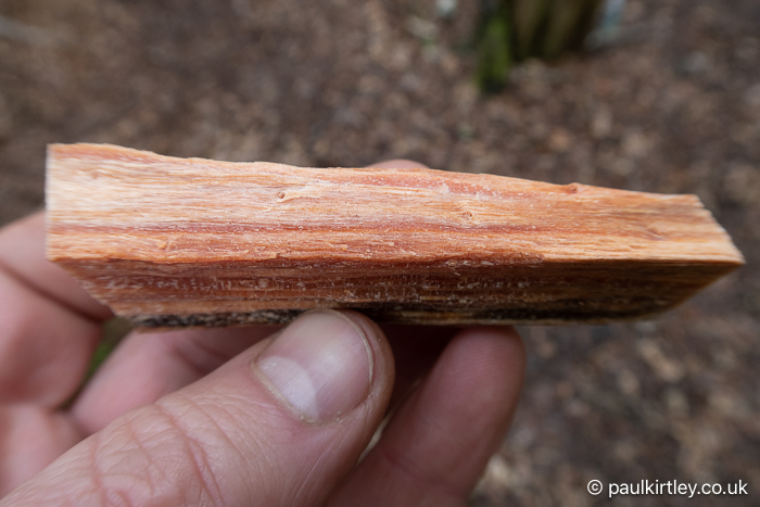Rich orangey-red piece of wood with some white substance in it too.