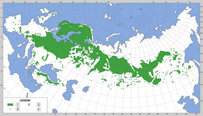 A map showing a distribution of the native ranges of Pinus sylvestris (Scots pine)