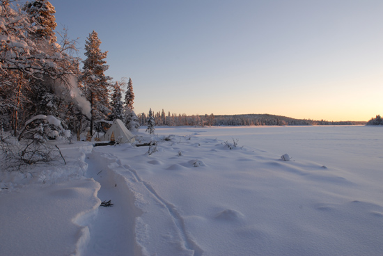 A Winter Camping Trip in the Northern Forest