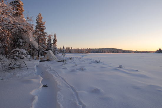 Northern Boreal Forest (Taiga)