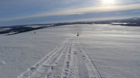 Winter Magic: Return To The Northern Forest