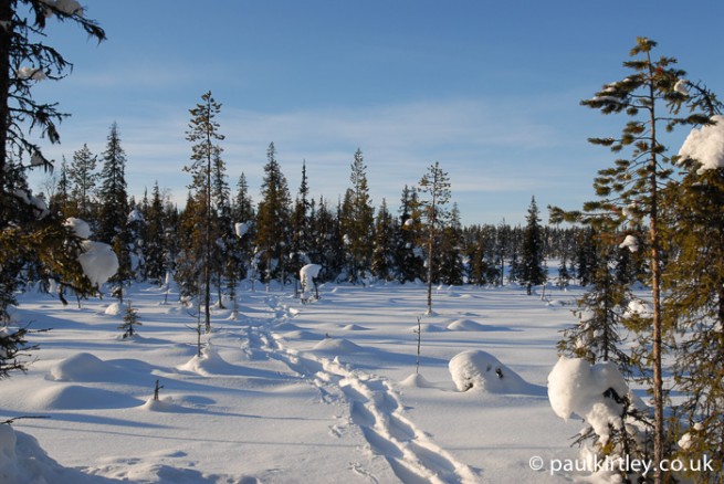 An Emergency Winter Survival Shelter For The Forest