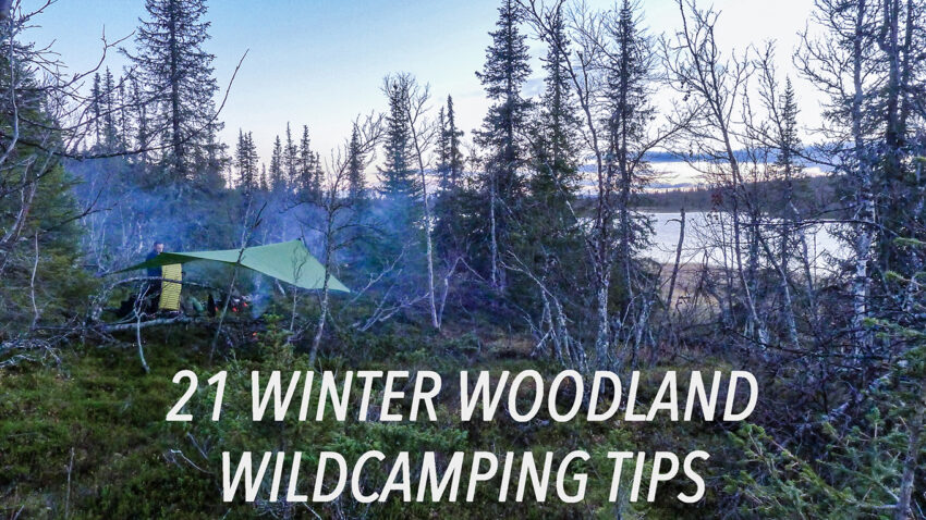 cold boreal forest without snow with text overlay for article on tips for winter wild camping