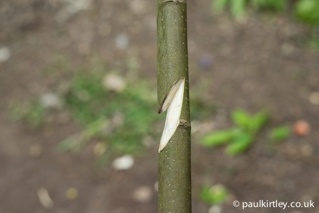 How To Carve A Beaked Notch For Pot Hangers