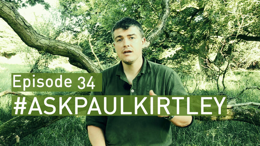 Paul Kirtley answering bushcraft and survival questions in episode 34 of Ask Paul Kirtley