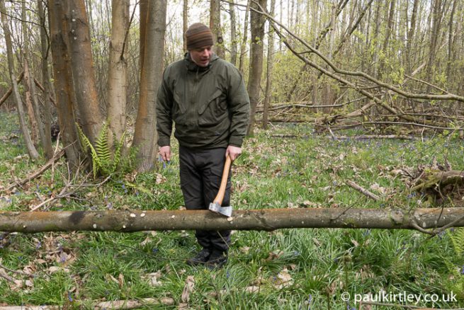 Limbing And Sectioning Trees With An Axe