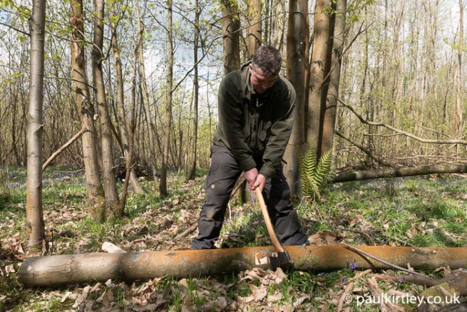 Limbing And Sectioning Trees With An Axe