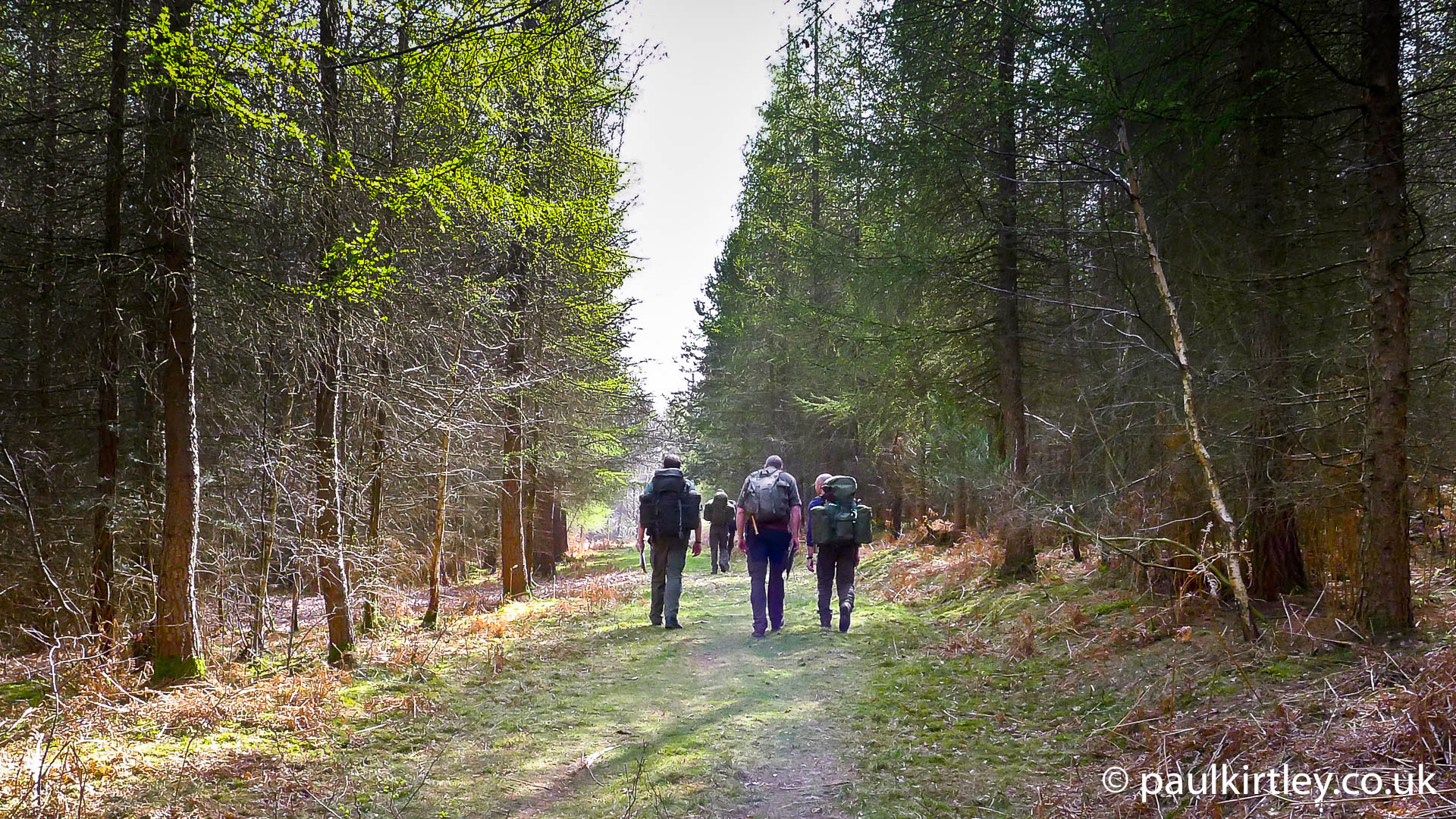 Bushcraft one-to-one tuition