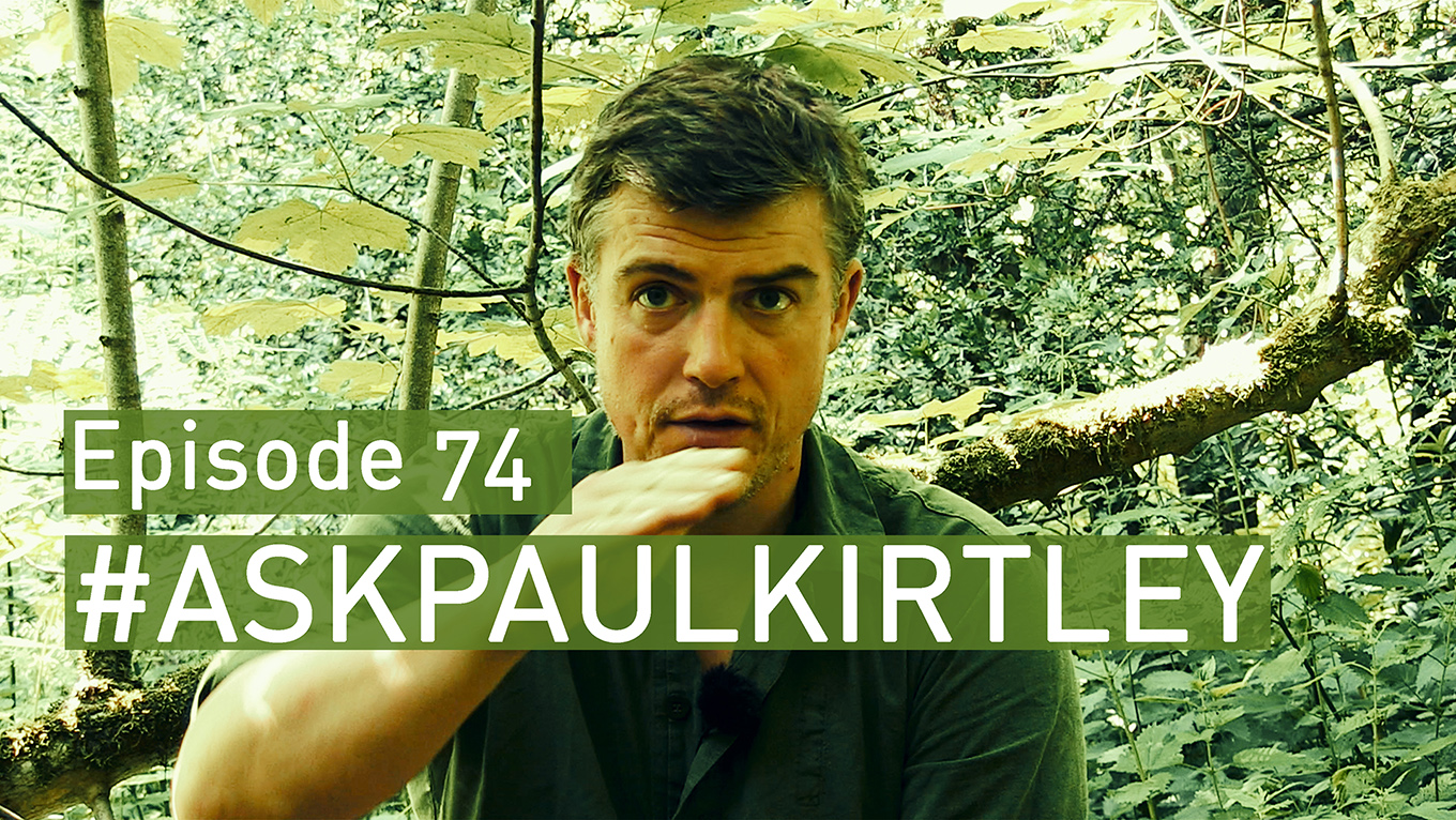 AskPaulKirtley Episode 74 featured image