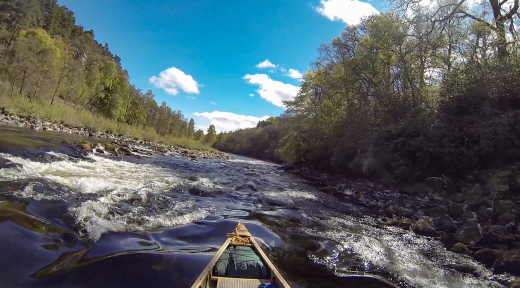Tay river with white water and trees