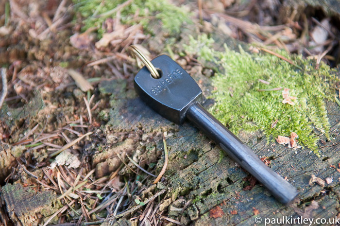 Ferro rod on the forest floor