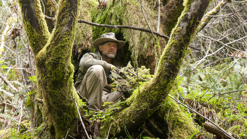 Les Stroud, Survivorman, sitting in the middle of a tree