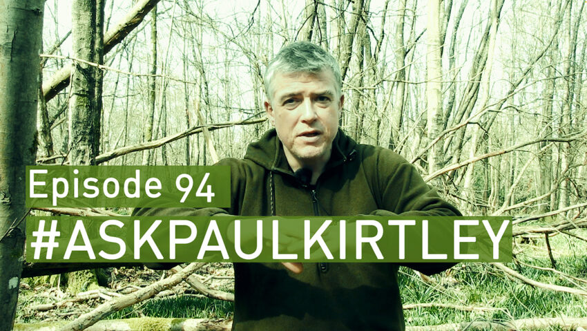 Man in the woods answering questions